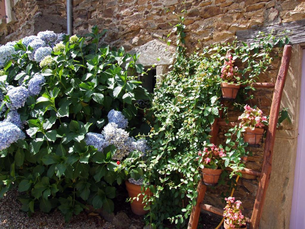 Domaine De Lasfonds Rieupeyroux (Aveyron) Quarto foto