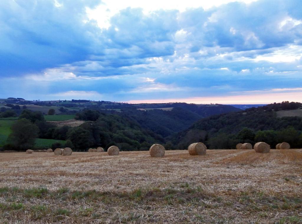 Domaine De Lasfonds Rieupeyroux (Aveyron) Quarto foto
